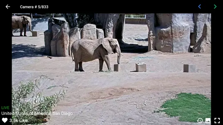 Live Camera android App screenshot 3